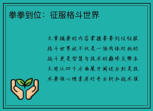 拳拳到位：征服格斗世界